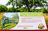 Le verger conservatoire des pommes à cidre, Espace pédagogique de l'arche de la nature, Le Mans métropole, Sarthe, France