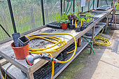 Garden hoses in a glass greenhouse, Arche de la nature, Le Mans metropole, Sarthe, France