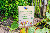 Tall flower meadow sown by children to promote biodiversity, Arche de la Nature educational garden, Le Mans metropole, Sarthe, France