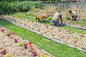Two gardeners at the Arche de la Nature educational garden, Le Mans Métropole, Sarthe, France