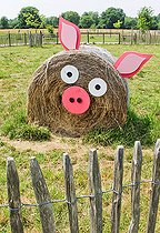 Round hay ball in the shape of a pig, Arche de la nature, Jardin pédagogique, Le Mans métropole, Sarthe, France