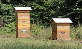 Beehives with several honey supers, Arche de la nature, educational garden, Le Mans, Sarthe, France