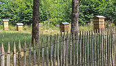 Beehives with several honey supers, Arche de la nature, educational garden, Le Mans, Sarthe, France