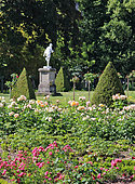 La roseraie du Jardin des plantes, Le Mans, Sarthe, France