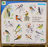 Sign "Where have the birds of our countryside gone?" Beaufay, Sarthe, France.