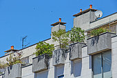 Shrubs on the balconies of a building on rue Gambetta, Le Mans, Sarthe, France