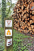ONF steres of softwood trees for sale ... in the Epau forest, Le Mans, Sarthe, Pays de la Loire, France
