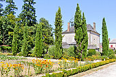 Les Cyprès (Cupressus), jardin de Bonnetable, Sarthe, France