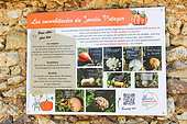 Information on Cucurbits at the Bonnétable educational garden, Sarthe, France