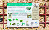 Information on aromatic plants in the educational kitchen garden at Bonnétable, Sarthe, France