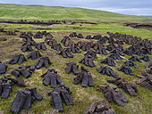 Traditional peat cutting, peat is still used as fuel for fireplaces, in Sandess, Shetland Islands. Europe, Great Britain, Scotland, Northern Isles,summer