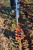 Soil cultivation with a rotary hoe, enabling soil cultivation without destroying micro-organisms. France