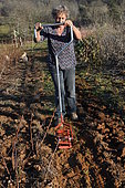 Soil cultivation with a rotary hoe, enabling soil cultivation without destroying micro-organisms. France