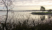 Presqu'île de Conleau, Vannes, Golfe du Morbihan, Southern Brittany, France