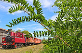 Tourist train with old steam locomotive, here the train at Bonnétable station Connerre Beille line to Bonnétable, Sarthe, Pays de la Loire, France