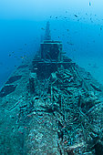 Wreck of the submarine Le Rubis, a minesweeper in excellent diving conditions with Aventure sous-marine. On January 31, 1958, it was sunk by Commandant Riffaud 3 km off Cap Camarat. Var. France.