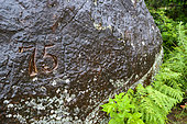 Historic "75" carving by a British Army cook from the 75th Regiment on Foot during the 1874 Langalibalele Rebellion, etched into Rock 75, Giant's Castle, Drakensberg, South Africa.