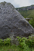 Historic "75" carving by a British Army cook from the 75th Regiment on Foot during the 1874 Langalibalele Rebellion, etched into Rock 75, Giant's Castle, Drakensberg, South Africa.