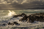 Powerful waves crash against rugged rocks at De Kelders, Western Cape, South Africa, under dramatic skies. The wild ocean and scenic coastline create a breathtaking seascape at sunset.
