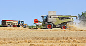 Harvesting wheat at Coulons sur Gée, Sarthe, France