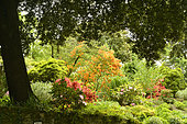 Garden in the village of Malestroit in Finistère, Brittany, France