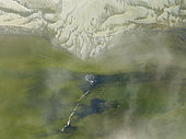 Low tide patterns, Greater Flamingos (Phoenicopterus ruber) and some coastal fog at the Walvis Bay Lagoon. Aerial view. Drone shot. Namibia.