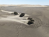 Small sand heaps form around the sparse vegetation in the Namib Desert. Aerial view. Drone shot. Skeleton Coast National Park, Namibia.