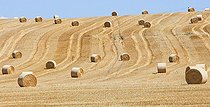 Round straw bales, Vouvray sur l'Huisne, Sarthe, France
