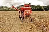 Old-fashioned harvesting with this very old 1950s Massey Ferguson combine, Fête de la moisson, Valenne, Sarthe, France