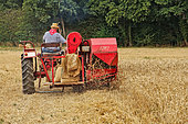 Old-fashioned harvesting with this very old 1950s post-war combine, Fête de la moisson, Valenne, Sarthe, France