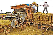 Old-fashioned harvest, threshing machine and straw baler on display at the harvest festival, village of Valenne, Sarthe, France