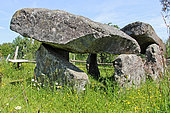 Dolmens des Erves, where the human bones of 14 people were discovered, dolmens a few kilometers from Sainte-Suzanne, medieval town, "cité de caractère" and one of the most beautiful villages in France, Mayenne, France