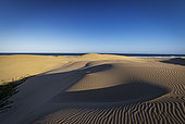 Expansive Sundays River Dune Field (Alexandria Coastal Dune Field) at the mouth of the Sundays River, Colchester, Eastern Cape, South Africa. Coastal sand dunes, ocean, and clear sky create a scenic landscape.