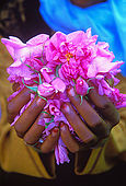 IN*Maroc, vallée du Dadès, gros plan sur mains de femme tenant pétales de roses