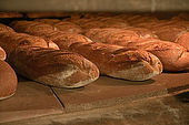 loaves inside the wood fired oven