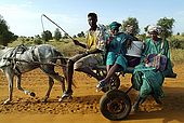 Senegal, Saint Louis, nomad peulh