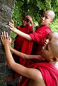 Arakan, Mrauk U, monks