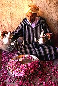 Maroc ;Maroc ;Atlas, Chaine de l'Atlas - Dades Valley, Rose Valley area, rose cultivator pouring tea