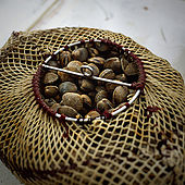 Bag of mussels, Lesvos, Greece