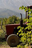 An old chinese tractor takes a rest, Valley of Permet, Albania