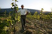 Mr. Kushtim Muho in his Debin vineyard, Suk, Albania