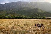 Countryside near Permet, Albania