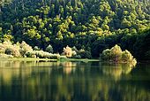 Montenegro, Biogradsko lake