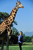 Kenya, region de Nairobi, le Manoir aux Girafes, ou Bryony et Rick Anderson veulent sauver un groupe de girafes de Rotschild. Uhuru, du haut de ses 4 metres... avec Bryony