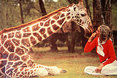 Kenya, region de Nairobi, le Manoir aux Girafes, ou Bryony et Rick Anderson veulent sauver un groupe girafes de Rotschild. Leslie Melville, la femme qui a lancé le projet de sauvegarde des girafes