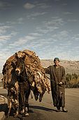 Carrying skins from the skin market to the tannery, Fes, Morocco