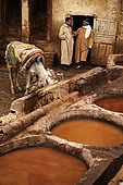 Foremen in discussion at the tanneries, Fes, Morocco