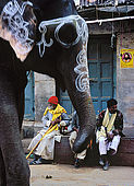 Elephant walking the streeys of Varanasi.