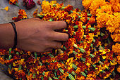 Young girl prepares flower gifts for the evening ceremony 'Offerings to the Ganges'.