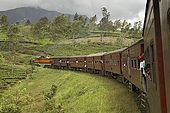 Train passing through the lush tea plantations of Nuwara Eliya, Central Province, Sri Lanka. 